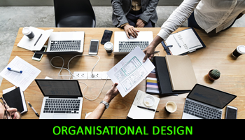 Organisational design